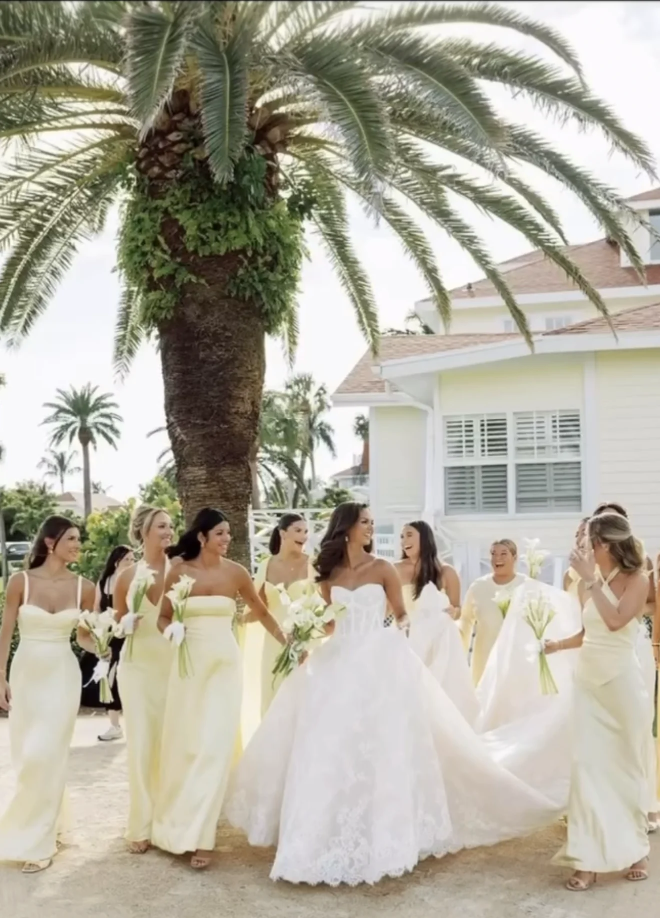 Bride and bridesmaids walking beneath palm trees